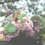 Nesbit_Galbreath_Kelly_Cameron_Photography_110521MarshaMattwedmd138_low