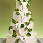 birchbranchcake