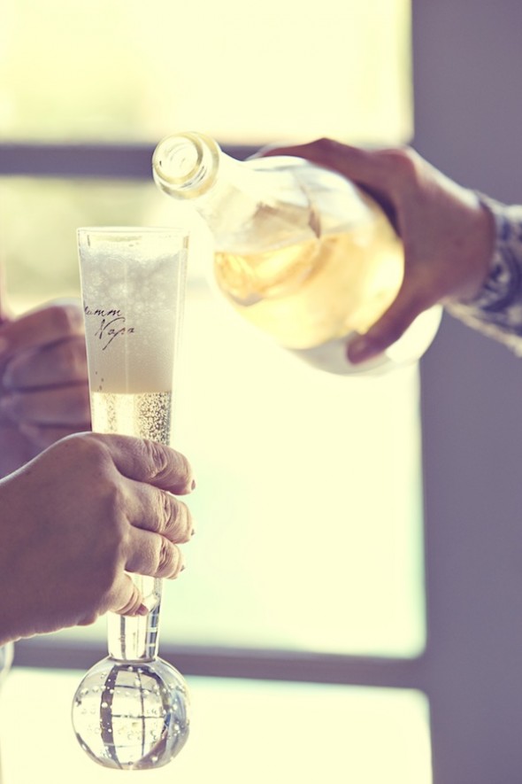Napa Valley Backyard Wedding Toast