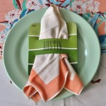 DIY Paint Chip Napkin Holder And Place Card