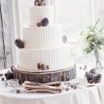 Rustic Wedding Cake With Pinecones