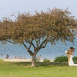 Hingham Harbor Wedding