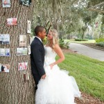 Pictures Hanging From Trees At Wedding