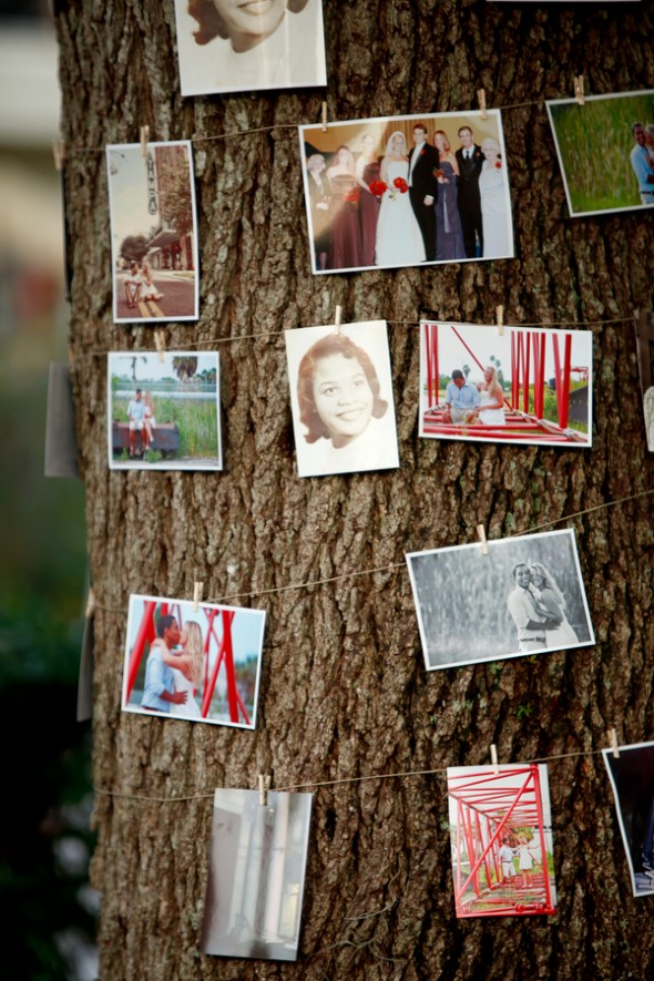 Pictures Hanging From Trees For Wedding