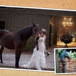 Vinewood Barn Wedding Location