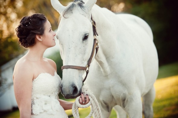 Bride With Horse