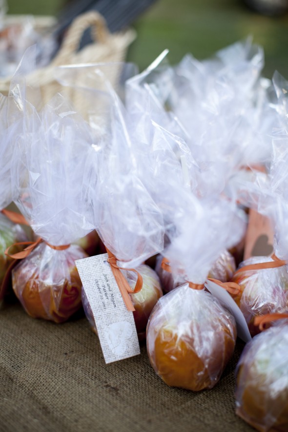 Candy Apple Wedding Favor candy-apple-wedding-favor