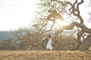 yellow-and-blue-themed-wedding