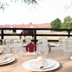 Horse Farm Wedding Reception