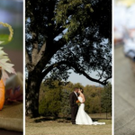 Fall Wedding Ideas