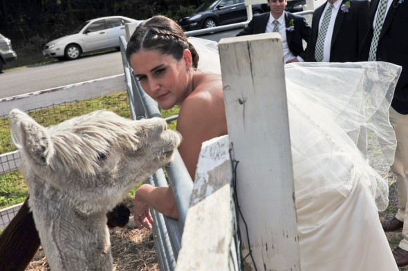 Farm Style Wedding