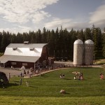 Idaho Barn Wedding