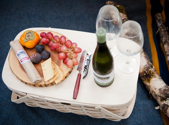Picnic Wedding
