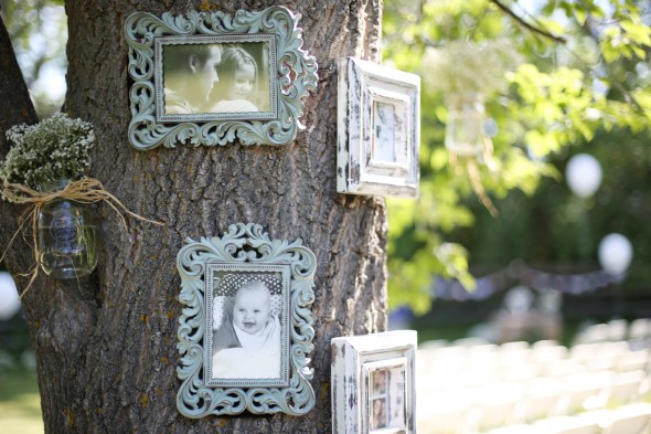 Picture Tree Wedding