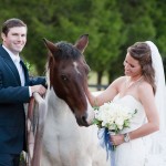 Bride & Groom With Horse