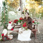 Winter Rustic Wedding