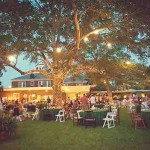 Backyard Wedding
