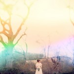Rustic Vintage Wedding
