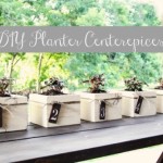 Planter Centerpiece s DIY Project