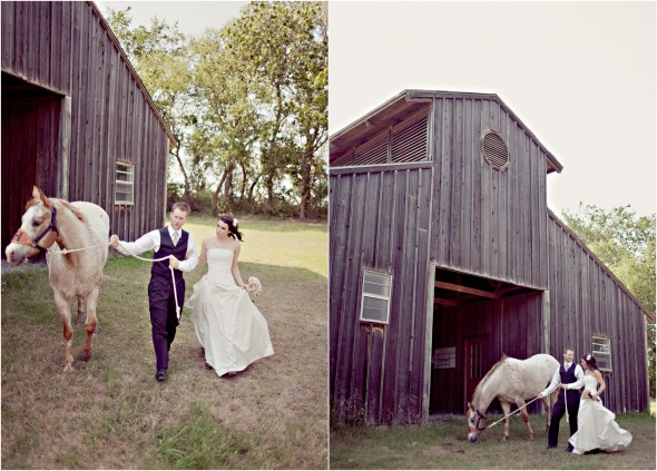 Wedding Couple With Horse