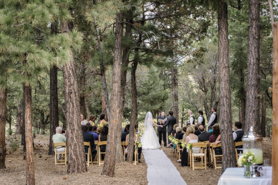 Top Big Bear Wedding Venues in the year 2023 Learn more here 